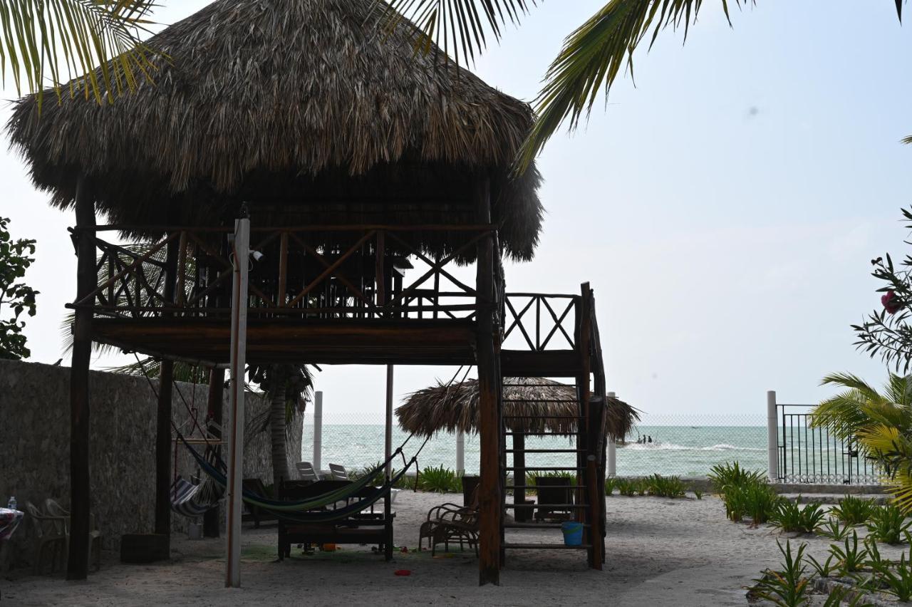 La Casa Del Mexicano Celestun Zewnętrze zdjęcie