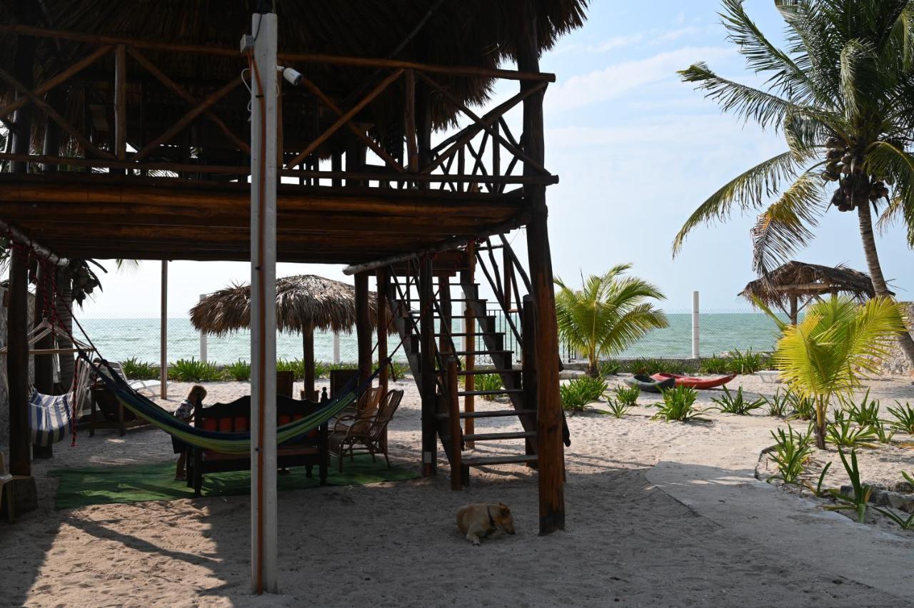 La Casa Del Mexicano Celestun Zewnętrze zdjęcie